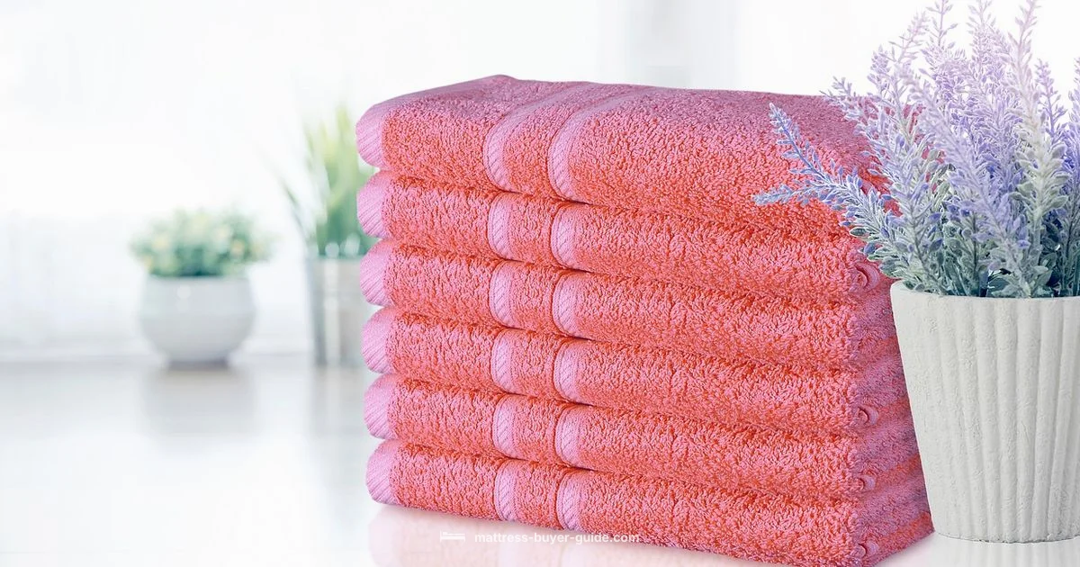 Cotton Comfort Nearby - Mattress Buyer Guide