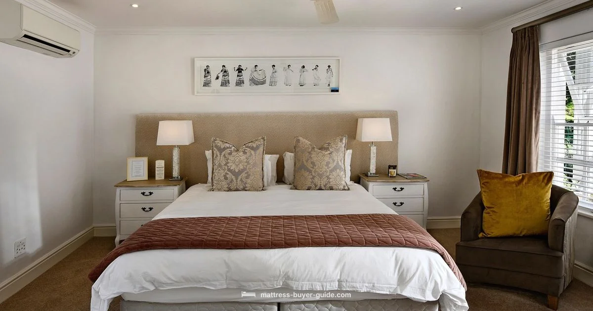 Bed Bug Inspection - Mattress Buyer Guide