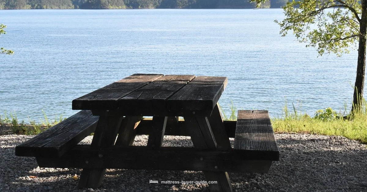 Top Picnic Pads 2026 Top Picnic Pads 2026 - Mattress Buyer Guide