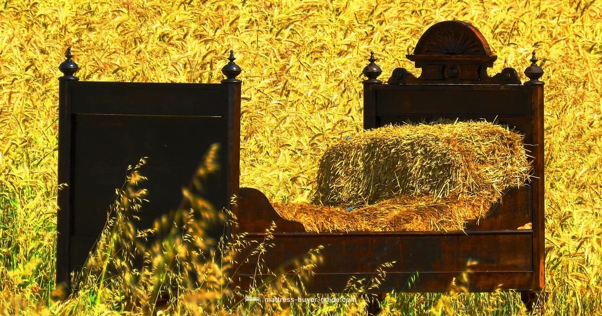 Best Bed-in-a-Box Guide - Mattress Buyer Guide