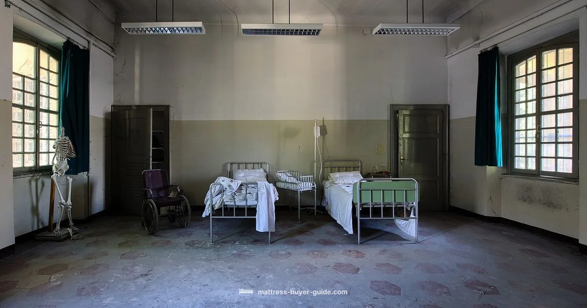 Air Mattress Guide - Mattress Buyer Guide