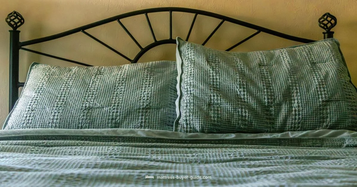 60x80 Queen Size - Mattress Buyer Guide