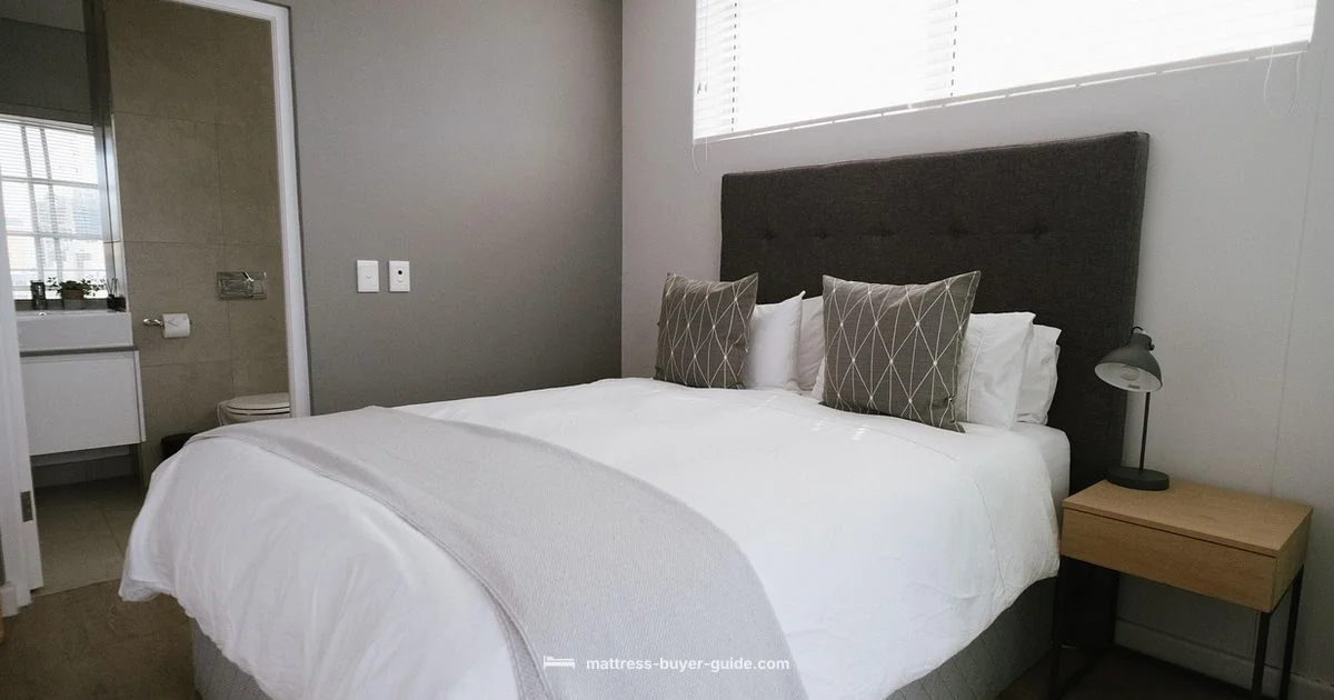 Foam vs Spring Foam vs Spring - Mattress Buyer Guide