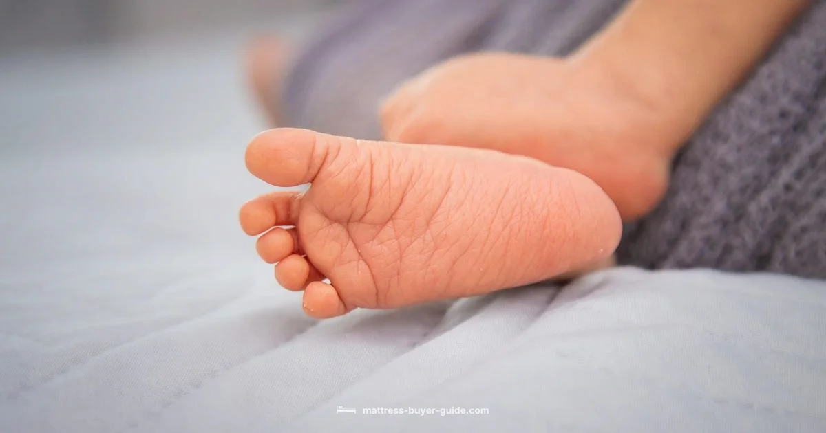 New Mattress Setup - Mattress Buyer Guide