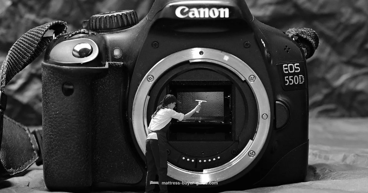 Safe Mattress Cleaning - Mattress Buyer Guide