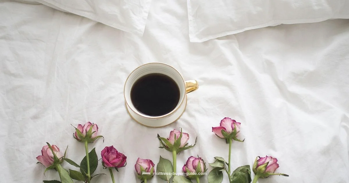 Soft Mattress Guide Soft Mattress Guide - Mattress Buyer Guide
