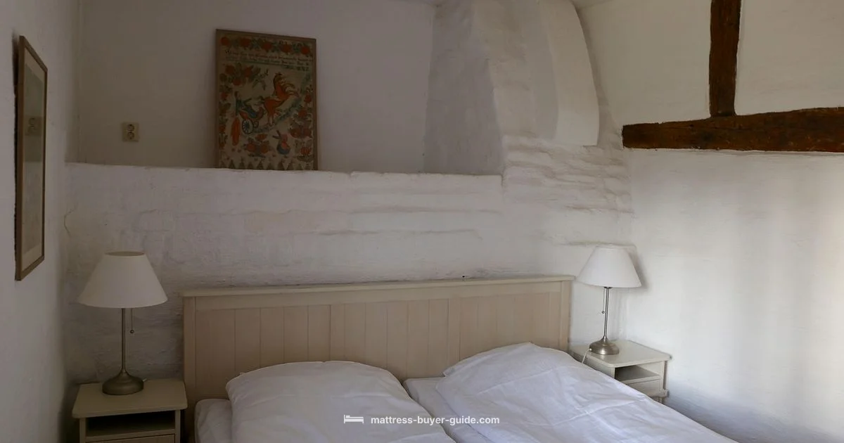 Twin XL Size Guide - Mattress Buyer Guide