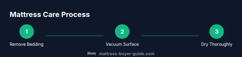 Infographic showing mattress treatment steps