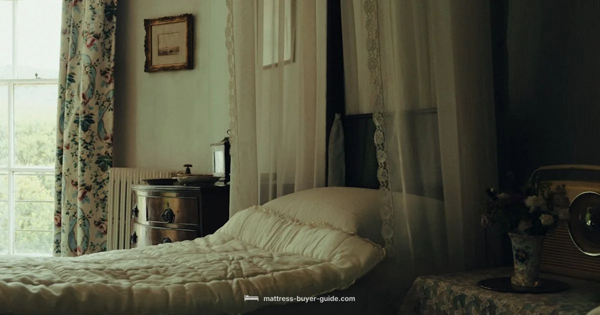 Budget Sleep Starter - Mattress Buyer Guide