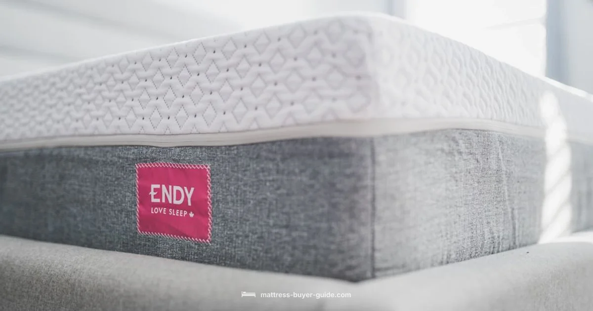 Futon Sizing Guide - Mattress Buyer Guide