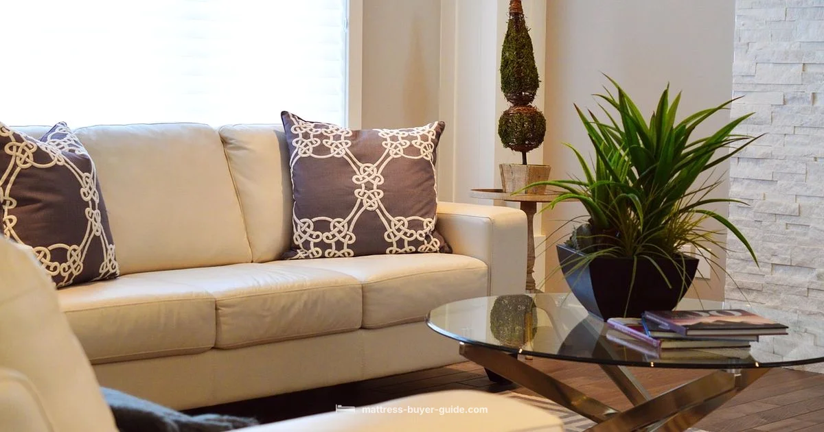 Compact Fold Bed Compact Fold Bed - Mattress Buyer Guide