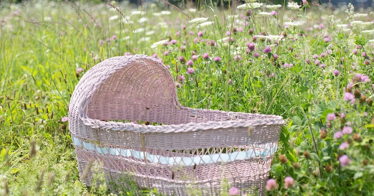 Soft Bassinet Comfort Soft Bassinet Comfort - Mattress Buyer Guide