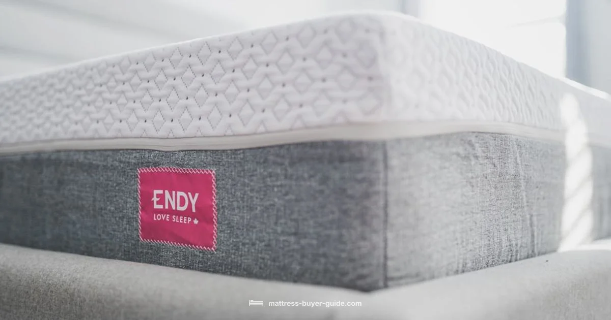 Mattress Shopping Guide Mattress Shopping Guide - Mattress Buyer Guide