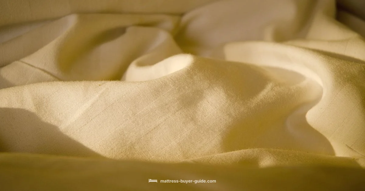 Bed Store Insights Bed Store Insights - Mattress Buyer Guide