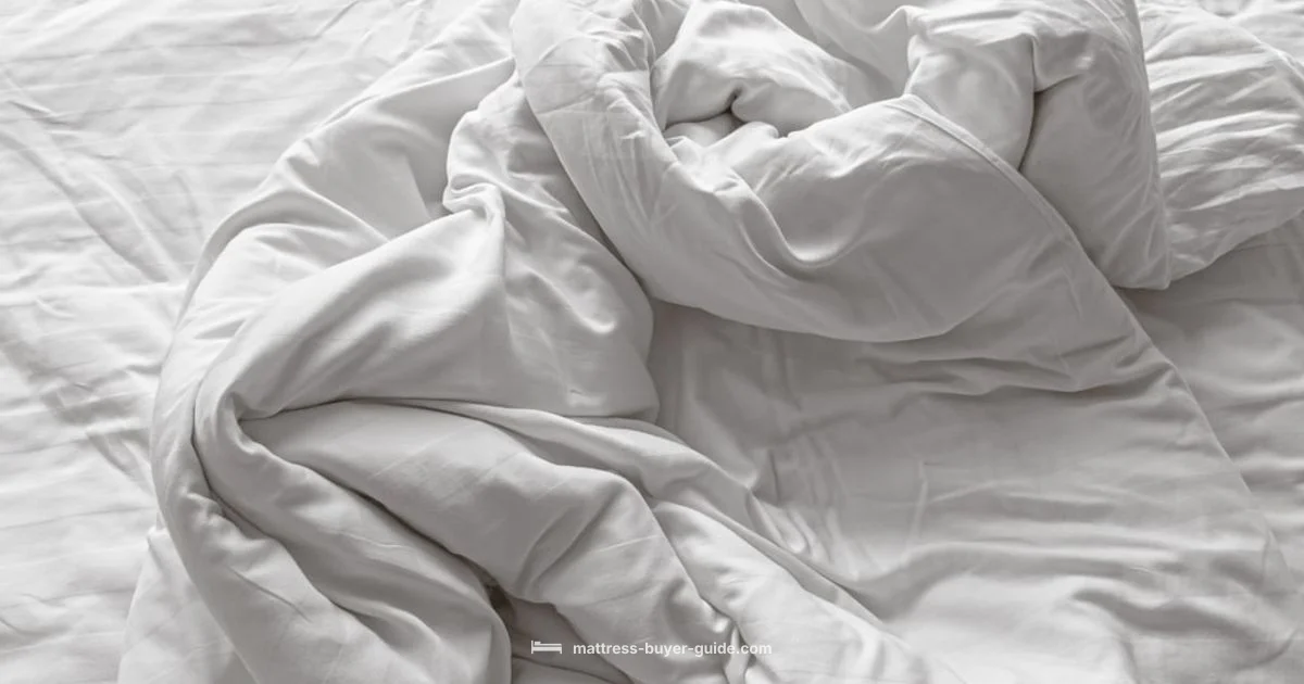 Bed Bug Signals - Mattress Buyer Guide