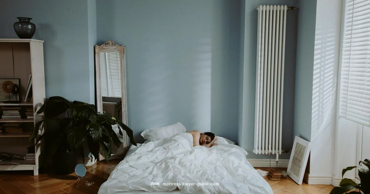 Zinus Mattress Reviews - Mattress Buyer Guide