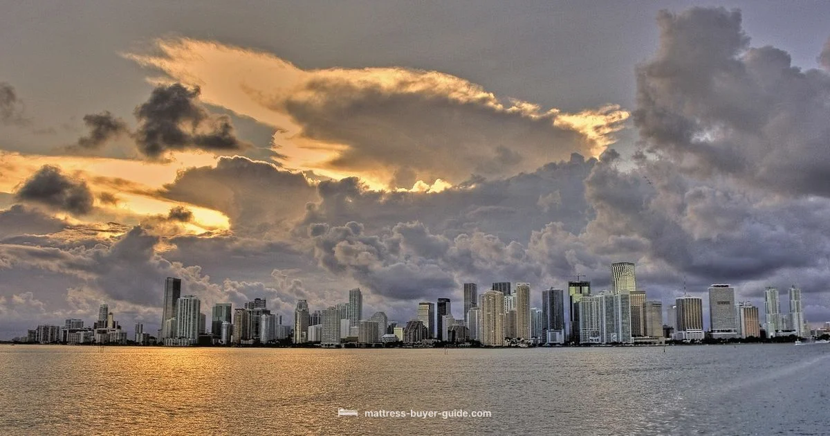 Miami Mattress Guide Miami Mattress Guide - Mattress Buyer Guide
