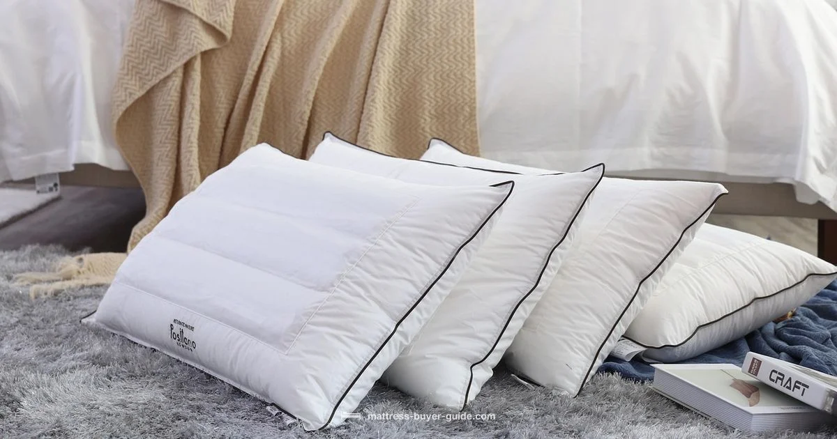 Bed Shop Guide Bed Shop Guide - Mattress Buyer Guide