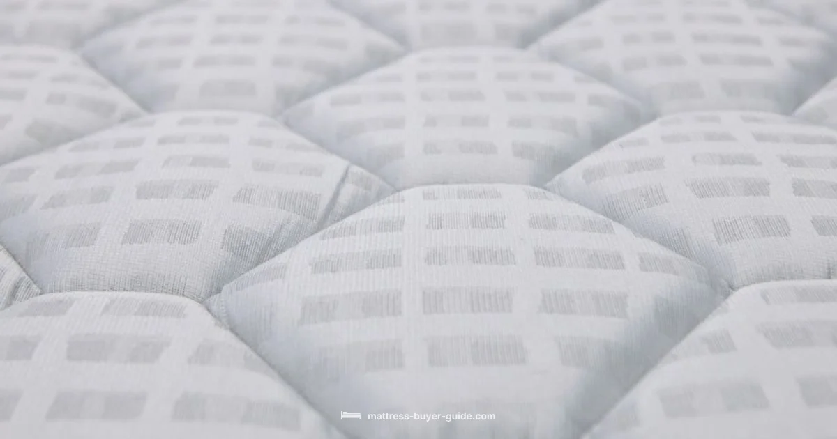 Remove Mattress Stains - Mattress Buyer Guide