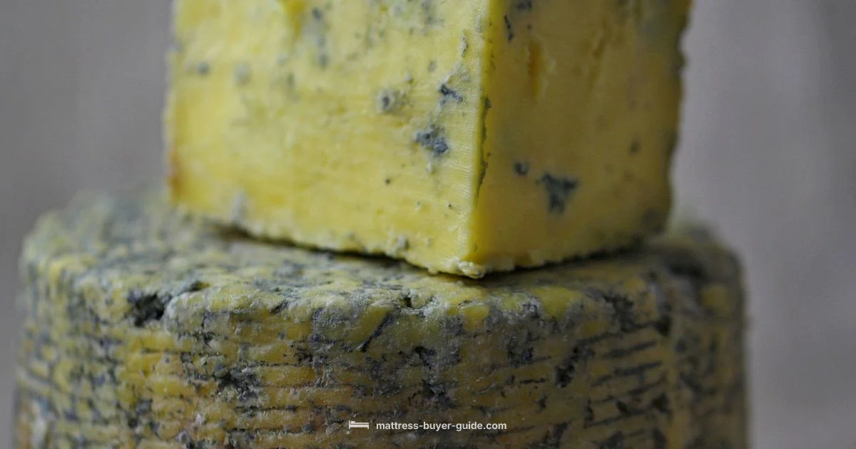 Mold on Mattress - Mattress Buyer Guide