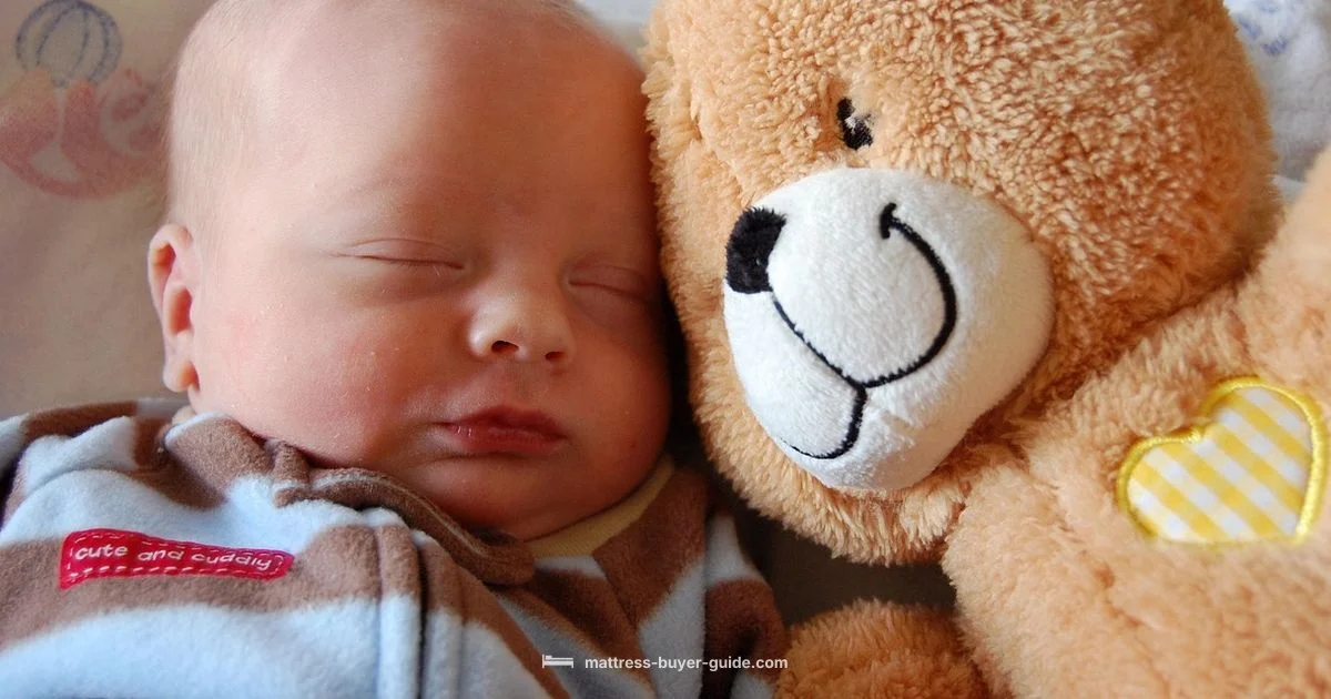 Crib Size Basics Crib Size Basics - Mattress Buyer Guide