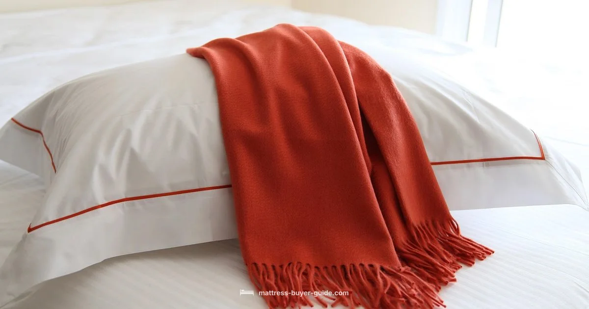 Lice and Bedding - Mattress Buyer Guide