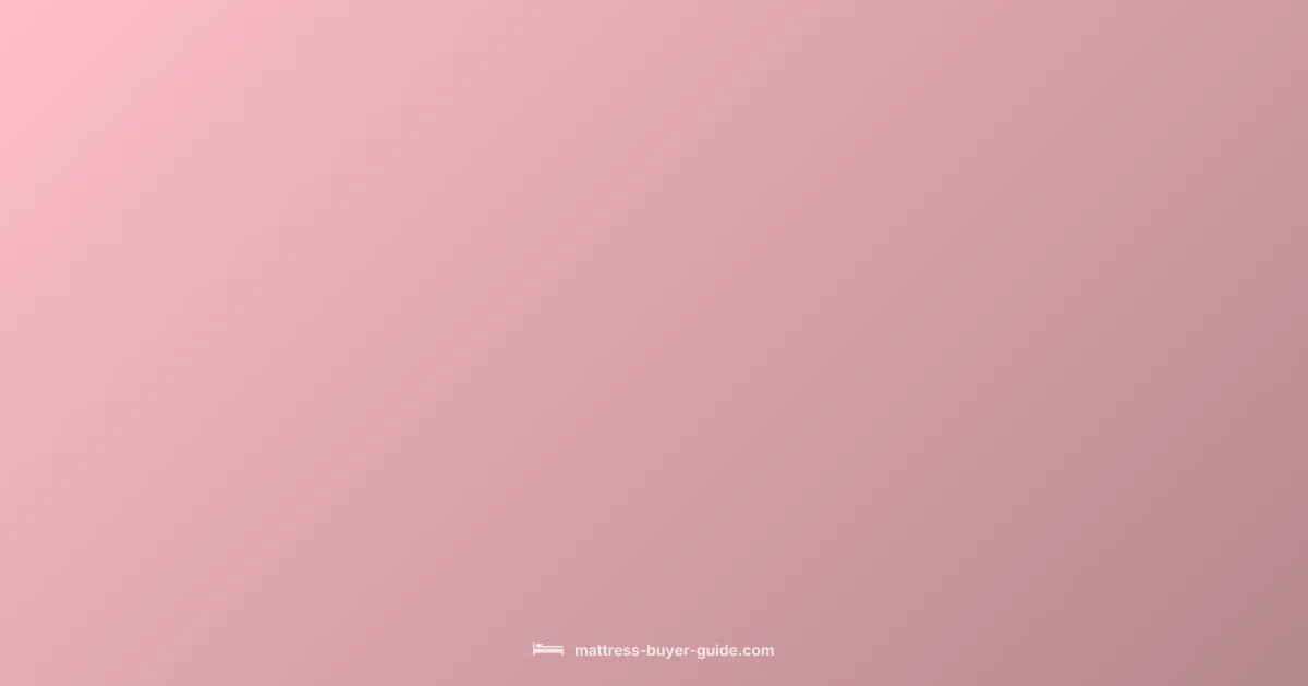 Mattress Type Guide - Mattress Buyer Guide (illustration)