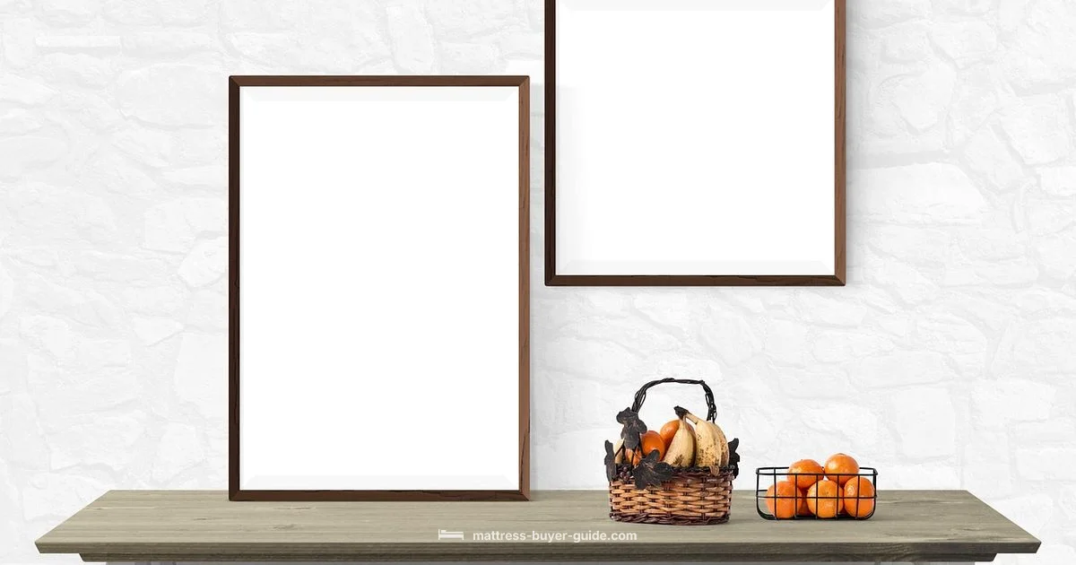 Mattress to Go Mattress to Go - Mattress Buyer Guide