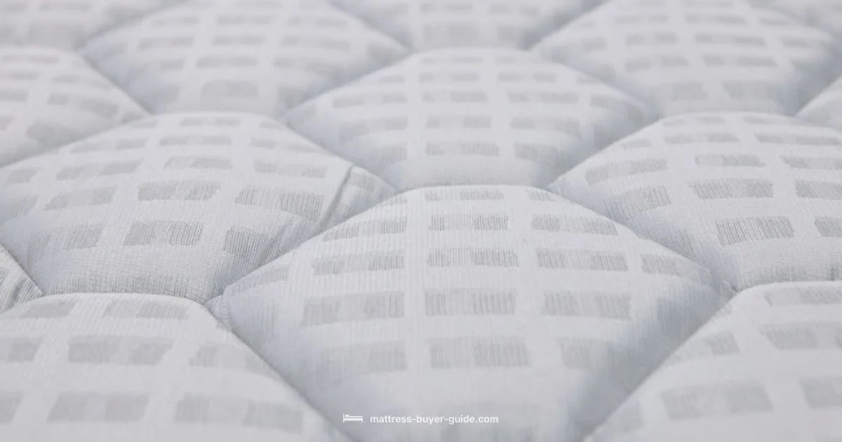 Queen Mattress Costs - Mattress Buyer Guide