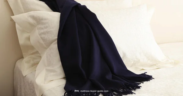 Wayfair Mattress Picks - Mattress Buyer Guide