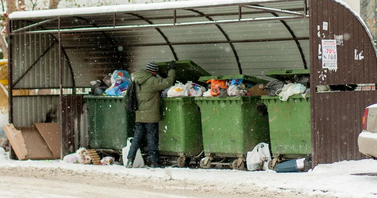 Disposal Guide - Mattress Buyer Guide