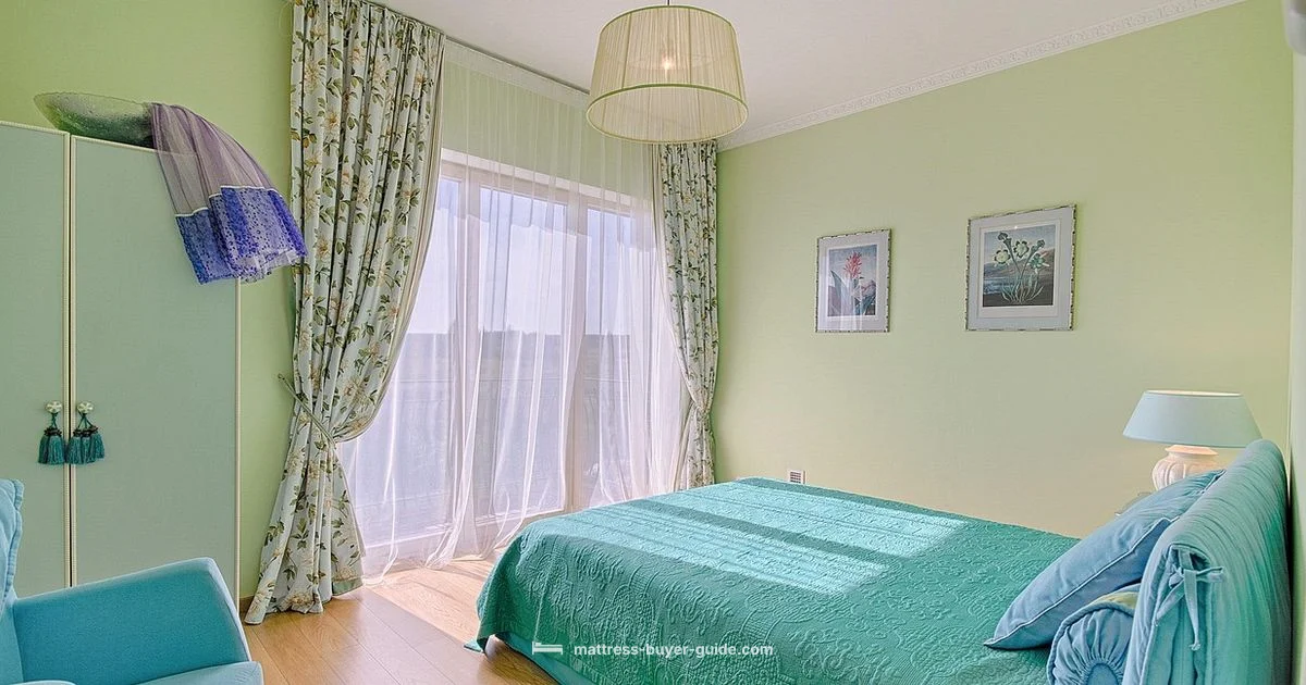 Bed Mechanics Guide - Mattress Buyer Guide