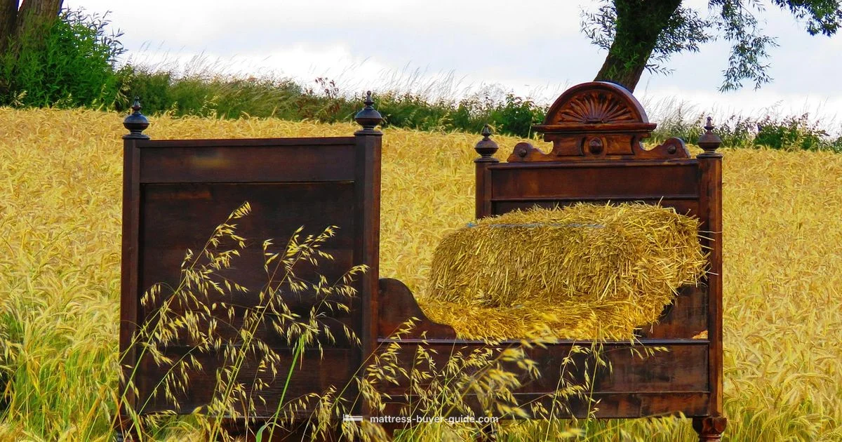 Hard Mattress Guide - Mattress Buyer Guide