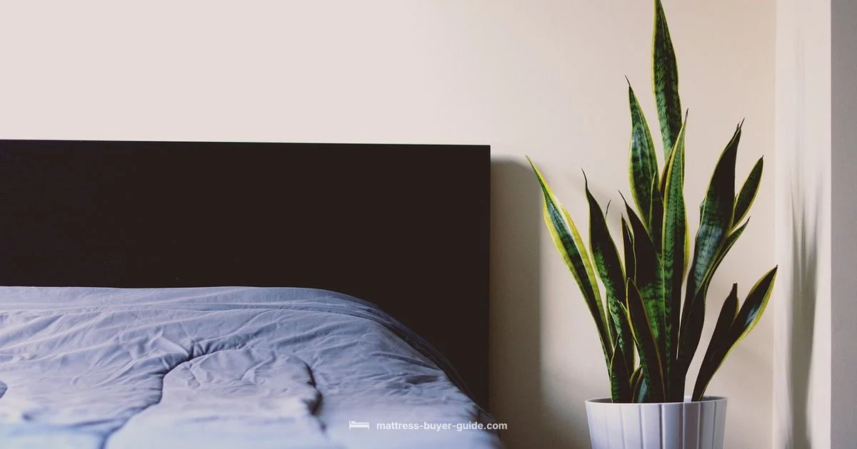 Understanding Mattress Meaning - Mattress Buyer Guide