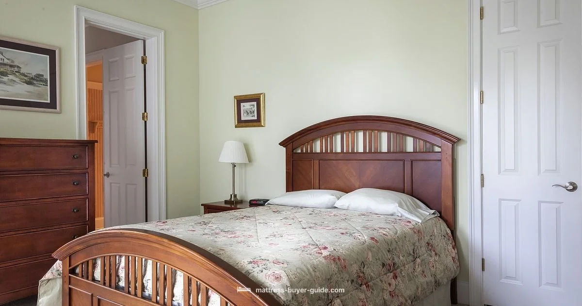 Firm Zinus Guide - Mattress Buyer Guide