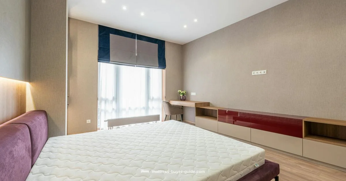 Mattress Electric Bed Guide - Mattress Buyer Guide