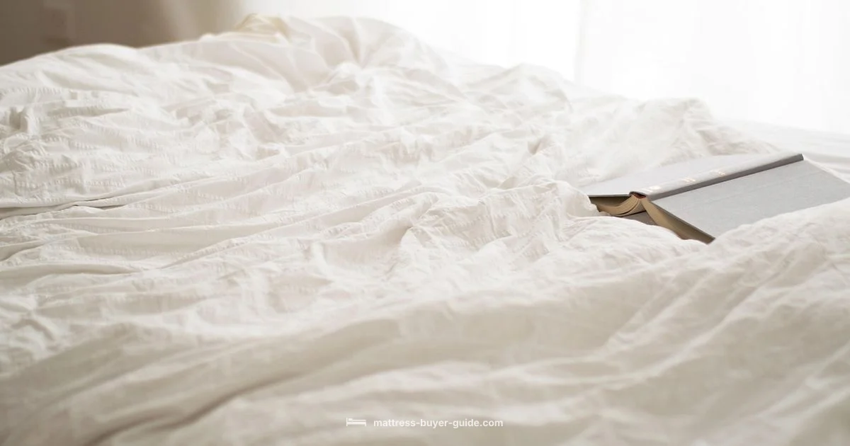 Bug Mattress Covers Bug Mattress Covers - Mattress Buyer Guide