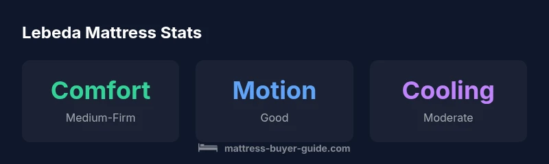 Lebeda mattress infographic comparing comfort, motion isolation, and cooling