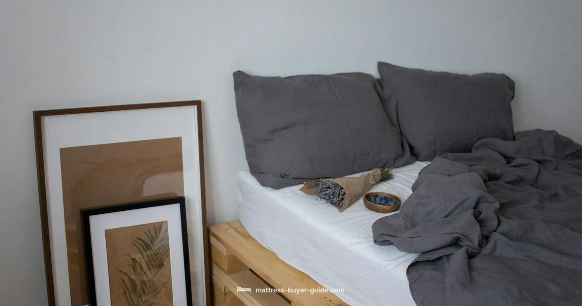 Cotton Futon Guide - Mattress Buyer Guide