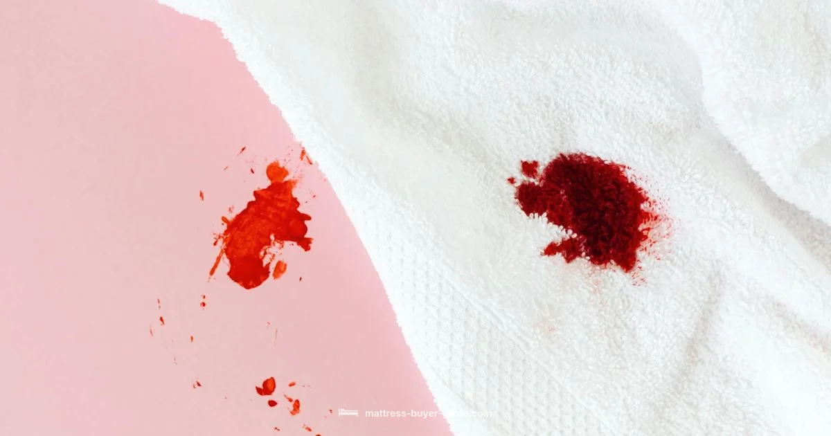 Urine Stain Cleanup - Mattress Buyer Guide