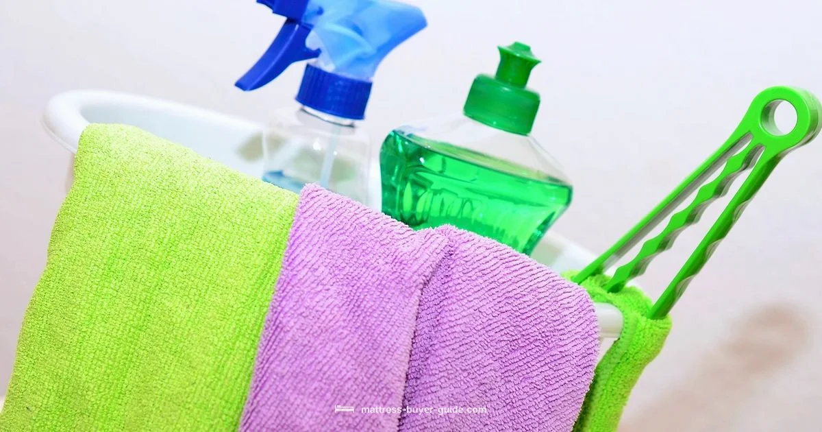 Mattress Cleaning - Mattress Buyer Guide