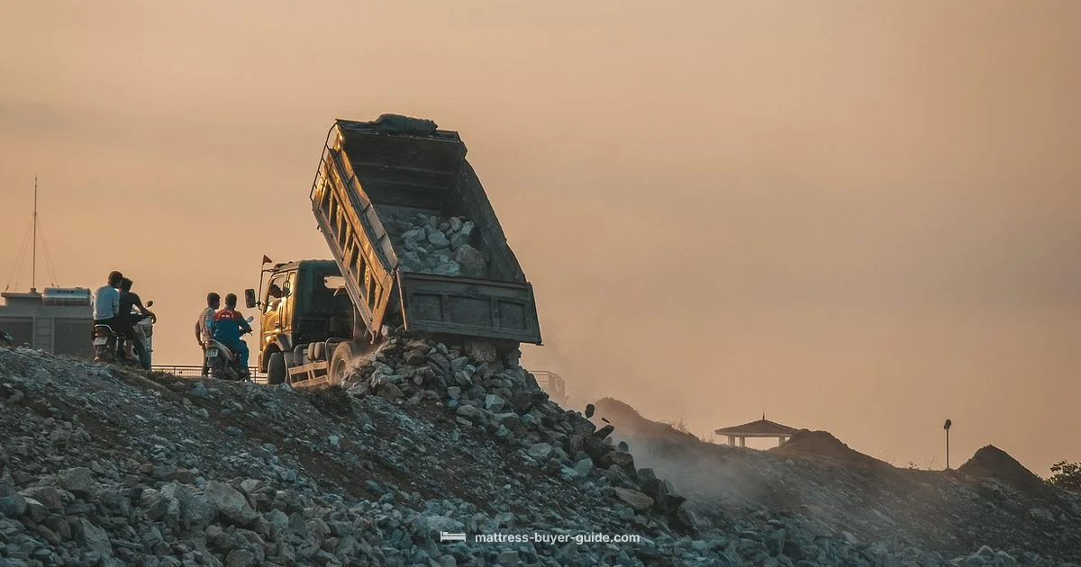 Disposal Guide Snapshot - Mattress Buyer Guide