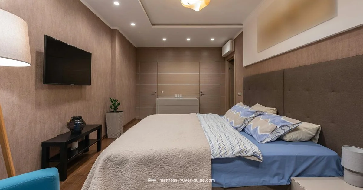 Foundation Basics for Sleep - Mattress Buyer Guide