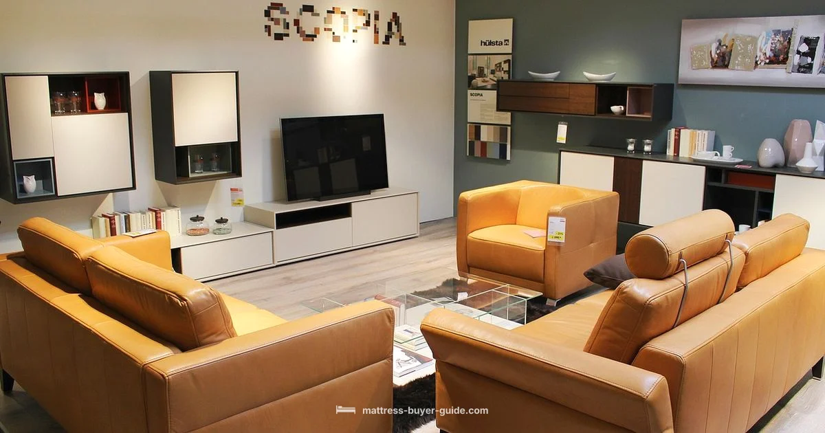 Queen Size Futon Guide - Mattress Buyer Guide