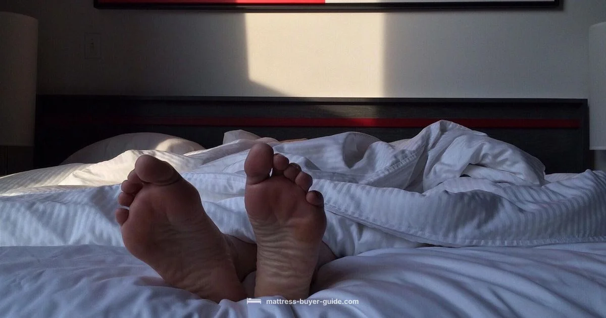 Top Mattress Picks Top Mattress Picks - Mattress Buyer Guide