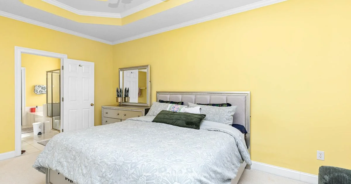 Green Tea Zinus Review - Mattress Buyer Guide