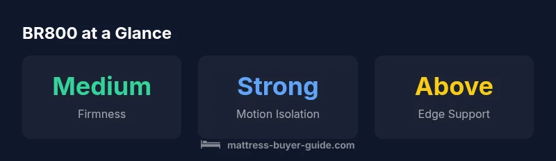 BR800 key statistics infographic