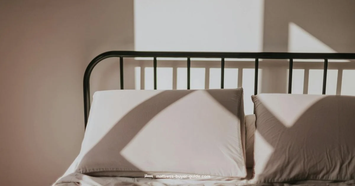 Mold Prevention Tips - Mattress Buyer Guide