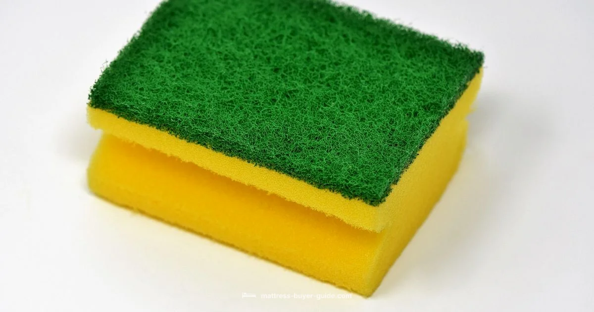 Mattress Cleaning - Mattress Buyer Guide