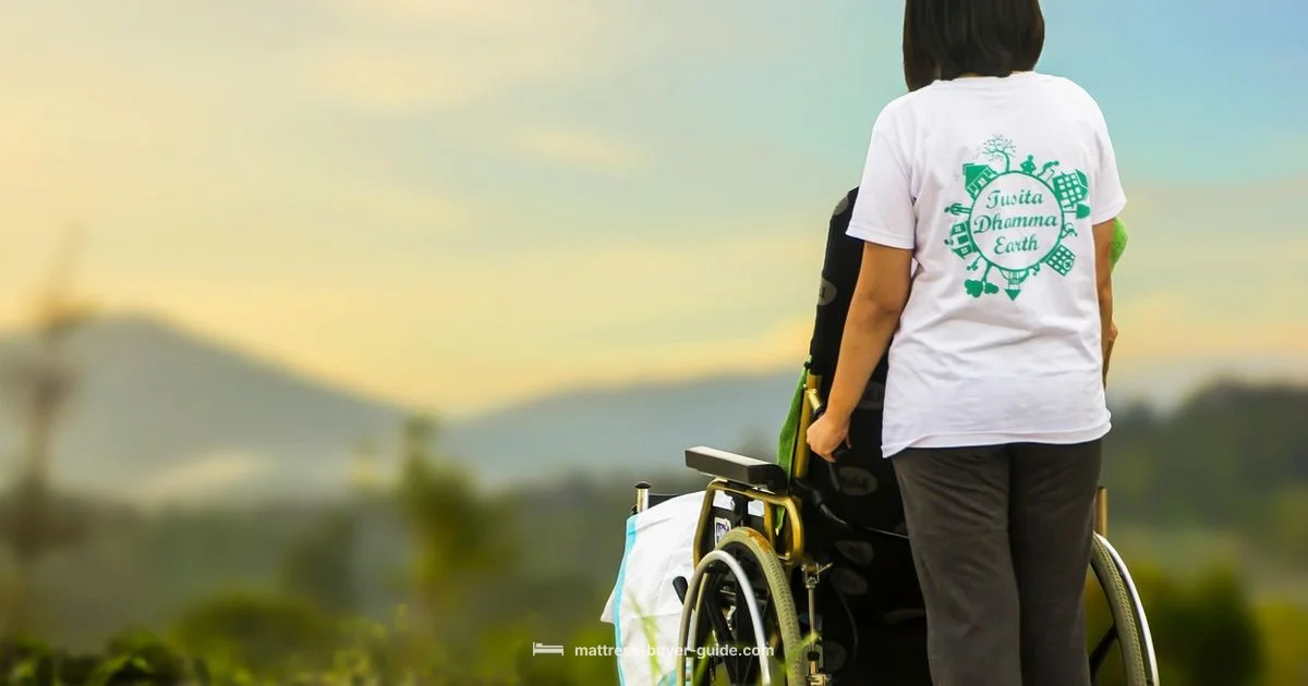 Senior Bed Comfort Senior Bed Comfort - Mattress Buyer Guide